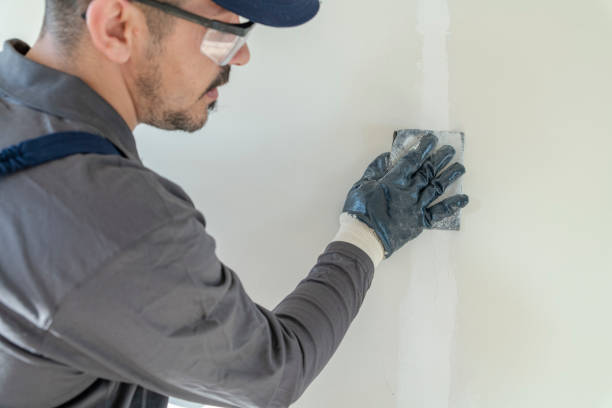 Best Dehumidification Services  in Placentia, CA
