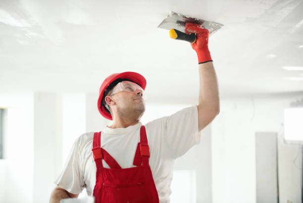 Best Asbestos and Lead Testing During Mold Inspection  in Placentia, CA