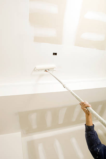 Best Mold Prevention Services  in Placentia, CA