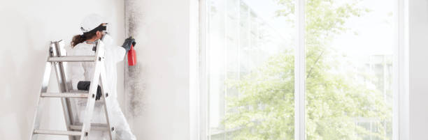 Best Post-Construction Mold Inspection  in Placentia, CA