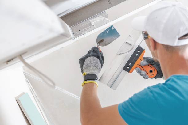 Trusted Placentia, CA Mold Removal Experts
